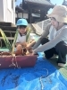 「八女市で保育園をお探しの方へ　玉ねぎの収穫」