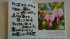 「4月のカレンダー」