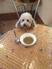 「食のお話。」