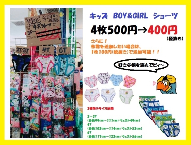 「SALE商品紹介  「キッズBOY&GIRLショーツ 」﻿✨」