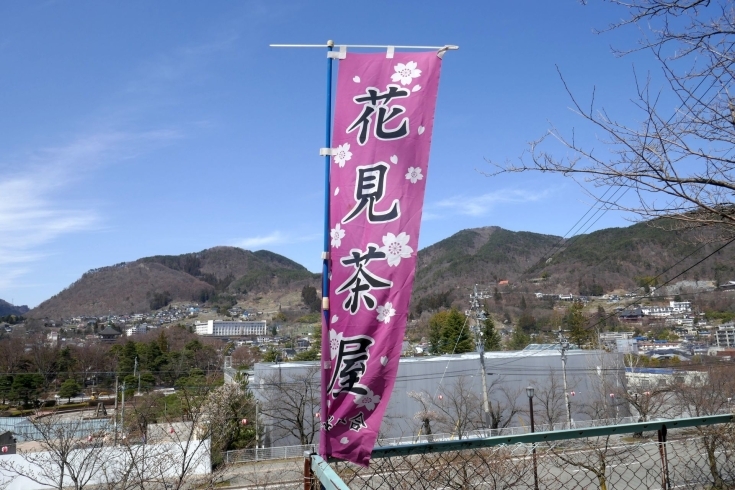 「【城山公園】春の名物♪　花見茶屋OPEN！」