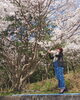「日曜日 空きがあります」