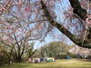 「滝の宮公園の第3駐車場から第1展望台へ向かう！」