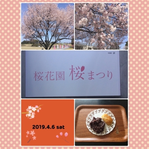 「☆桜まつり☆」