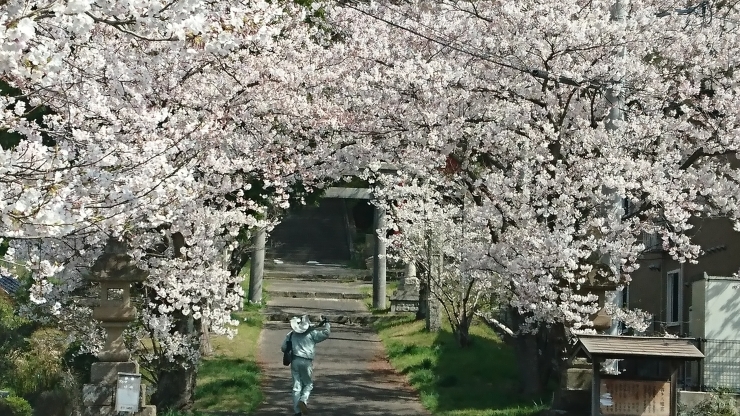 「午後はお店に戻ります(^o^)」