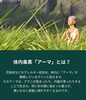 健康と笑顔をもたらすストレスケア「【柏市スパイスカレー／アーユーボーワン】花粉のつらさとスロータス：アーユルヴェーダ的「月イチ・リセット」スウェダナ」