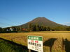 「アイガモ栽培の無農薬ゆめぴりか」