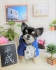 平成最後のトリミング Dogsalon Cocoro ドッグサロン ココロ のニュース まいぷれ 朝霞 志木 新座 和光