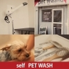 「ペット洗い専用セルフスペース出来ました」