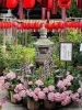 提灯まつり「本日の境内の様子です」