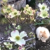 「西高1英語クラス 東高1英語クラス 生徒募集！」