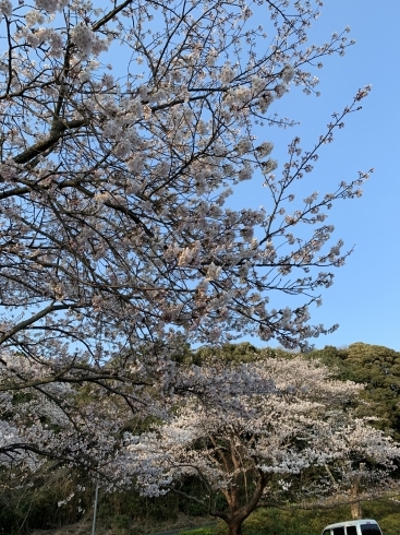 「平成の疲れは平成のうちに♡」