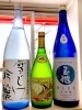 「～藤の波～本日も25時まで営業しております♪【福島区 日本酒セラー HARETOKE】」