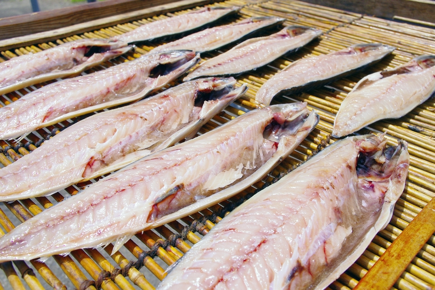 越田商店 越田の干物 さば 越田の干物 さば 旬の魚セット など ふるさと納税で日本を元気に 神栖市 まいぷれ 神栖市 越田商店 越田の干物 さば 越田の干物 さば 旬の魚セット など ふるさと納税で日本を元気に 神栖市 まいぷれ 神栖市