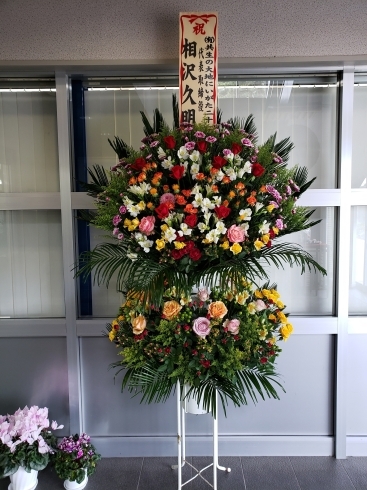 新発田 胎内 聖籠 まいぷれ