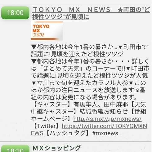 「☆カラフル野菜の小山農園、東京MXテレビ10日、18:00～ニュース番組内に☆」