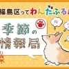 大阪市福島区の季節を楽しむ特集