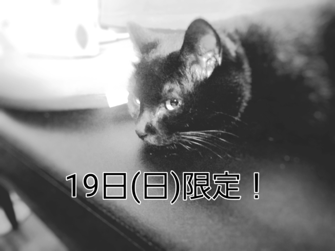 「19日のみ限定！」