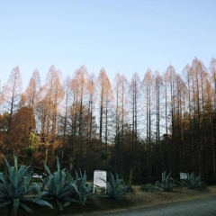 植物園です！