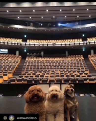 「あの有名な…ワンちゃんも来ますよ！ 東京公演後に舞鶴へ」