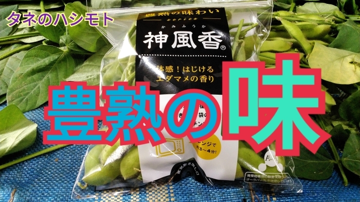 「美味しい枝豆《簡単調理方法》教えます！豊熟のエダマメ　タネのハシモト」