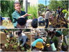「金町公園にてお花の植え替え♪【かつしか花いっぱいのまちづくり】」