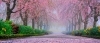 「【ほくと育英会奨学生募集】」