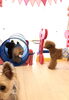 「ましゅまろ保育園＆幼稚園 Ⅳ  (๑･̑◡･̑๑)」