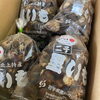 「今年も「ふたごさといも」の季節がキター！！ 岩手県北上市二子(ふたご)地区産　「二子(ふたご)さといも」」