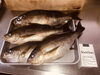 「またまたお魚を頂きました*\(^o^)/*」