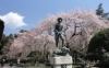 「秩父宮記念公園の庭園が変わります！」
