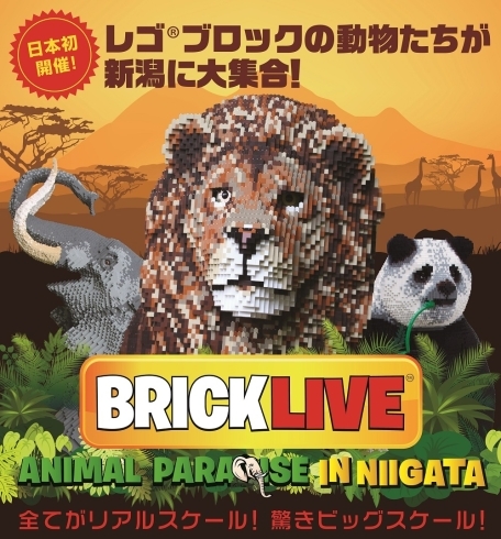 「BRICKLIVE® ANIMAL PARADISE in NIIGATA」