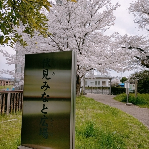 「伏見の桜🌸【季節割烹春吉】」