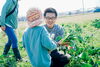 原田ファーム　収穫祭「第26回収穫祭　5/24 NO104」