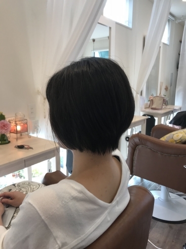 「ヘアドネーション♪６月キャンペーンのお知らせ」