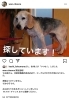 お待ち し ます て おり ご 連絡