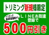 「ＬＩＮＥで500円OFF❤」