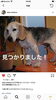 「見つかりました！」