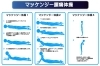 ご自宅でできる簡単腰痛体操（2）マッケンジー腰痛体操 | なかしま鍼灸整骨院のニュース | まいぷれ[佐賀・神埼]