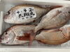 「鮮魚パックいろいろ販売中‼️〆鯖も販売致します🐳」
