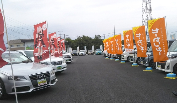 水戸市の中古車販売 株 マハロも一緒に営業中 くるみ代行です くるみ代行のニュース まいぷれ 水戸市 水戸市の中古車販売 株 マハロも一緒に営業中 くるみ代行です くるみ代行のニュース まいぷれ 水戸市