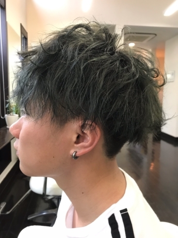 メンズカット ダブルカラー 子供カット ストレートキャンペーン メンズカット ダブルカラー 子供カット ストレートキャンペーン