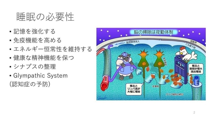 「睡眠の必要性【行徳・南行徳でカウンセリングが充実したパーソナルトレーニングジム】」