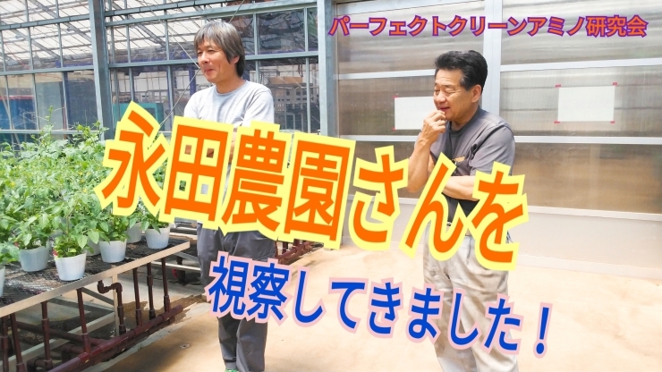 「超巨大施設!?永田農園に行って来ました。驚きの光景が・・・タネのハシモト」