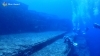 日本最西端の与那国島で海底遺跡をダイビング Dive Award ダイブ アワード 津田沼駅前本店のニュース まいぷれ 習志野市