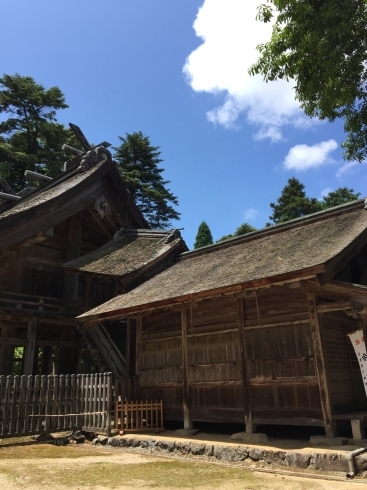 「 ＊神魂神社（かもすじんじゃ）＊」