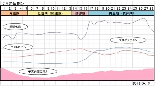 Pms月経前症候群とは Ensoleille アンソレイユ の