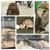 「ワクワクキッズパークもうすぐ始まるよ！」