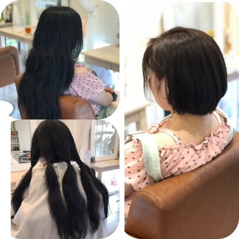 「ヘアドネーション」