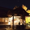 葛飾八幡宮の千本公孫樹をライトアップ！　「煌kirameki2022」が今年も開催【2022年11月26日～27日】